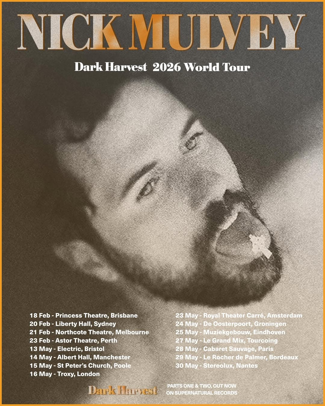 Nick Mulvey Dark Harvest World Tour Poster 2026
